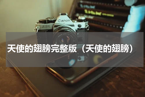 天使的翅膀完整版（天使的翅膀）