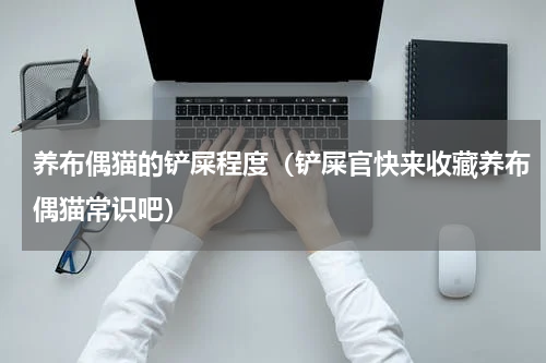 养布偶猫的铲屎程度（铲屎官快来收藏养布偶猫常识吧）