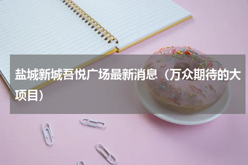 盐城新城吾悦广场最新消息（万众期待的大项目）