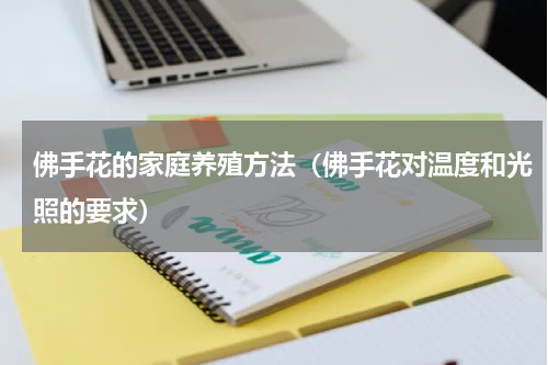 佛手花的家庭养殖方法（佛手花对温度和光照的要求）