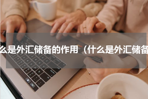 什么是外汇储备的作用（什么是外汇储备）