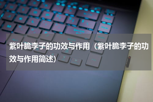 紫叶脆李子的功效与作用（紫叶脆李子的功效与作用简述）