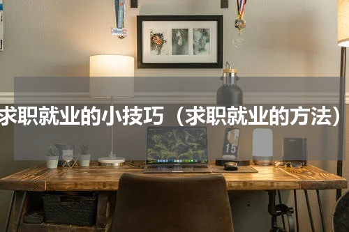 求职就业的小技巧（求职就业的方法）