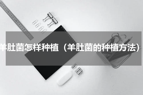 羊肚菌怎样种植（羊肚菌的种植方法）