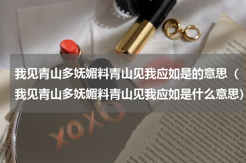 我见青山多妩媚料青山见我应如是的意思（我见青山多妩媚料青山见我应如是什么意思）