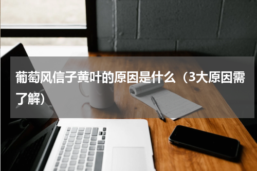 葡萄风信子黄叶的原因是什么（3大原因需了解）