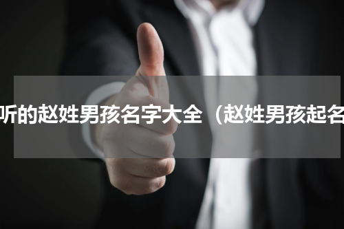 好听的赵姓男孩名字大全（赵姓男孩起名）