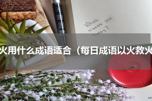 救火用什么成语适合（每日成语以火救火）