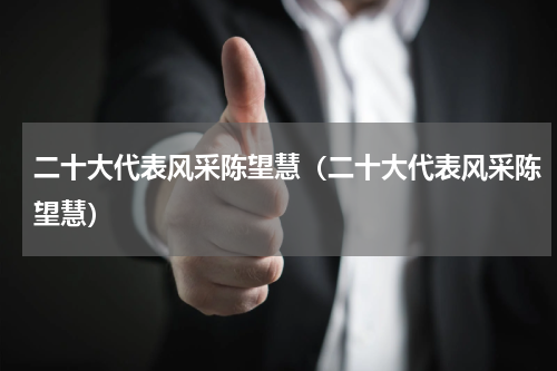 二十大代表风采陈望慧（二十大代表风采陈望慧）