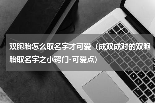 双胞胎怎么取名字才可爱（成双成对的双胞胎取名字之小窍门-可爱点）