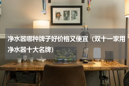 净水器哪种牌子好价格又便宜（双十一家用净水器十大名牌）