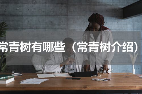 常青树有哪些（常青树介绍）