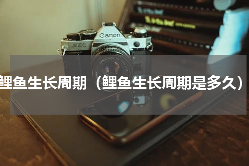 鲤鱼生长周期（鲤鱼生长周期是多久）