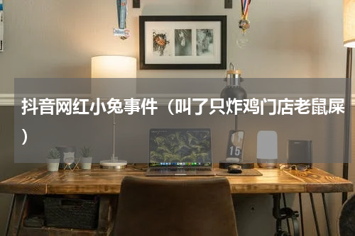 抖音网红小兔事件（叫了只炸鸡门店老鼠屎）