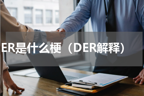 DER是什么梗（DER解释）