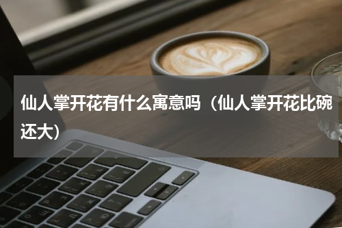 仙人掌开花有什么寓意吗（仙人掌开花比碗还大）