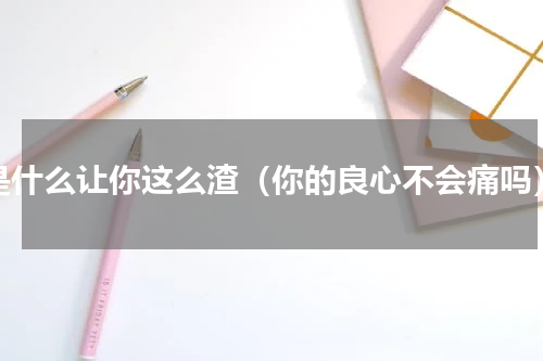 是什么让你这么渣（你的良心不会痛吗）