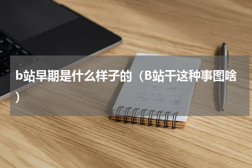 b站早期是什么样子的（B站干这种事图啥）