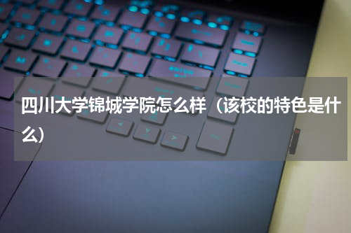 四川大学锦城学院怎么样（该校的特色是什么）