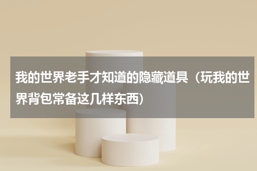 我的世界老手才知道的隐藏道具（玩我的世界背包常备这几样东西）