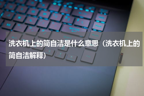 洗衣机上的简自洁是什么意思（洗衣机上的简自洁解释）