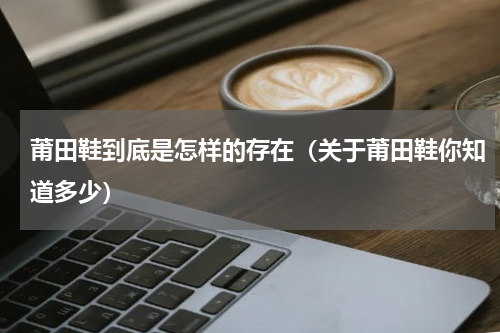 莆田鞋到底是怎样的存在（关于莆田鞋你知道多少）