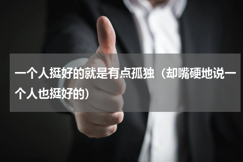 一个人挺好的就是有点孤独（却嘴硬地说一个人也挺好的）