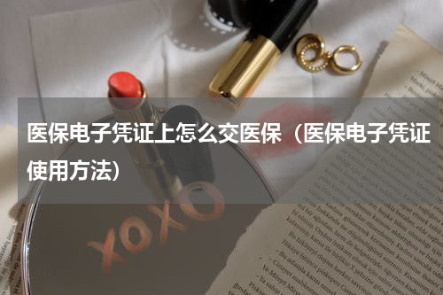 医保电子凭证上怎么交医保（医保电子凭证使用方法）