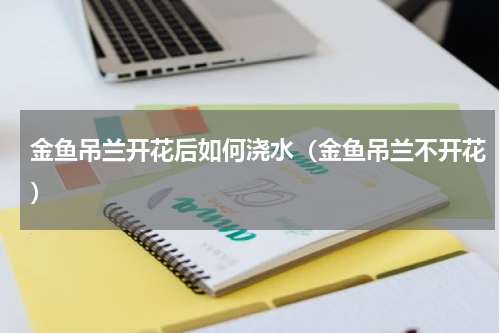 金鱼吊兰开花后如何浇水（金鱼吊兰不开花）