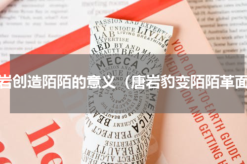 唐岩创造陌陌的意义（唐岩豹变陌陌革面）