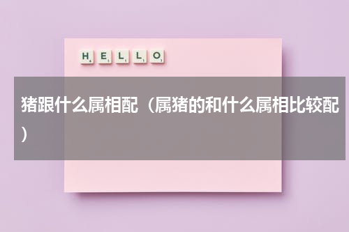 猪跟什么属相配（属猪的和什么属相比较配）