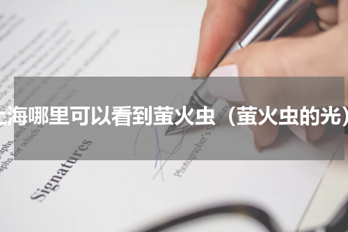 上海哪里可以看到萤火虫（萤火虫的光）