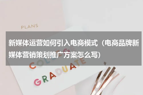新媒体运营如何引入电商模式（电商品牌新媒体营销策划推广方案怎么写）