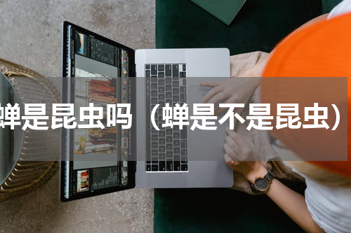 蝉是昆虫吗（蝉是不是昆虫）