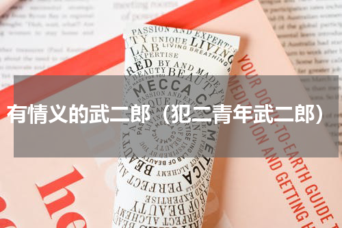 有情义的武二郎（犯二青年武二郎）