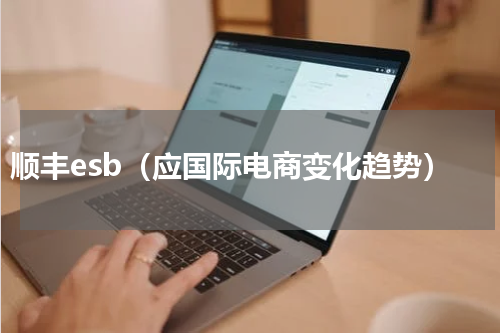 顺丰esb（应国际电商变化趋势）