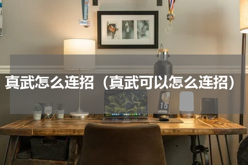 真武怎么连招（真武可以怎么连招）