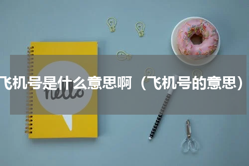 飞机号是什么意思啊（飞机号的意思）
