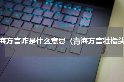 青海方言咋是什么意思（青海方言壮指头）