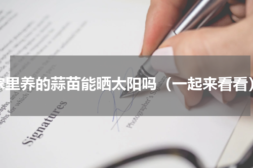 家里养的蒜苗能晒太阳吗（一起来看看）