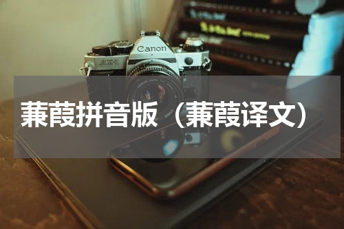 蒹葭拼音版（蒹葭译文）