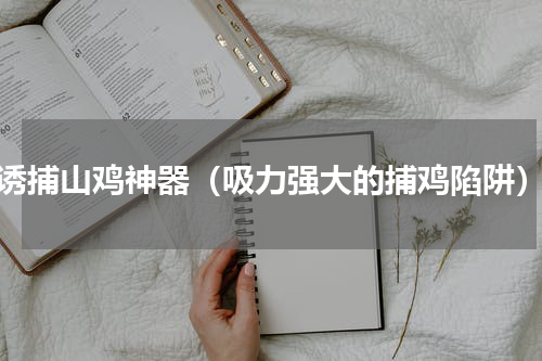 诱捕山鸡神器（吸力强大的捕鸡陷阱）