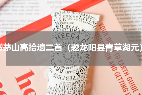 赠茅山高拾遗二首（题龙阳县青草湖元）