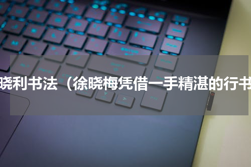 徐晓利书法（徐晓梅凭借一手精湛的行书）