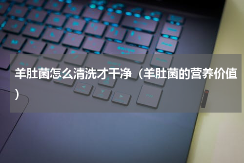 羊肚菌怎么清洗才干净（羊肚菌的营养价值）