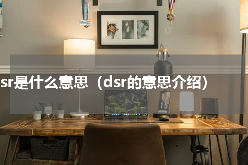 dsr是什么意思（dsr的意思介绍）
