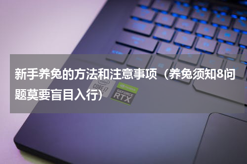 新手养兔的方法和注意事项（养兔须知8问题莫要盲目入行）