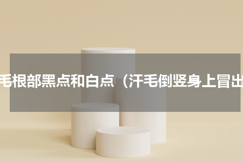 汗毛根部黑点和白点（汗毛倒竖身上冒出）