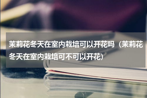 茉莉花冬天在室内栽培可以开花吗（茉莉花冬天在室内栽培可不可以开花）