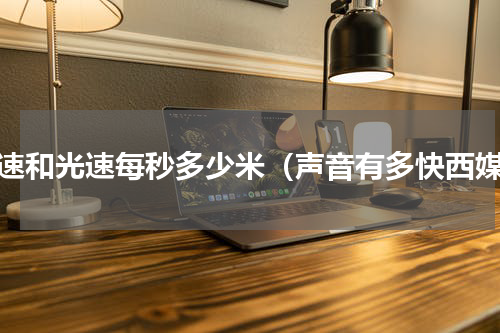 音速和光速每秒多少米（声音有多快西媒）